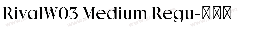 RivalW03 Medium Regu字体转换